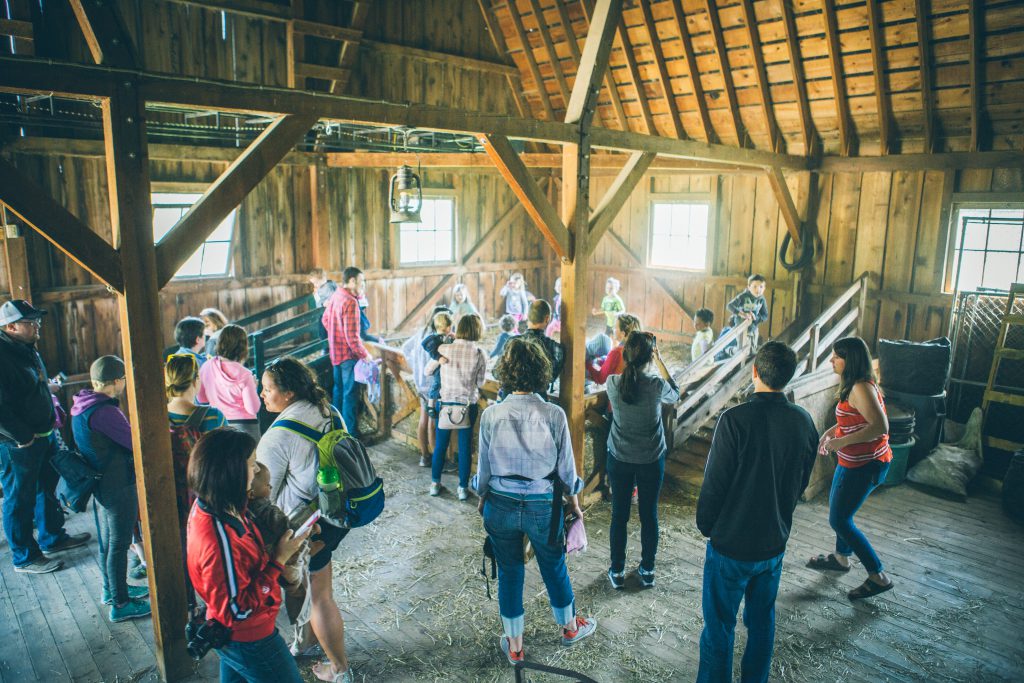 dodge nature center field trips