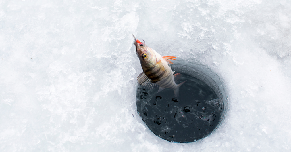 Page 11, Fishing On Ice png images